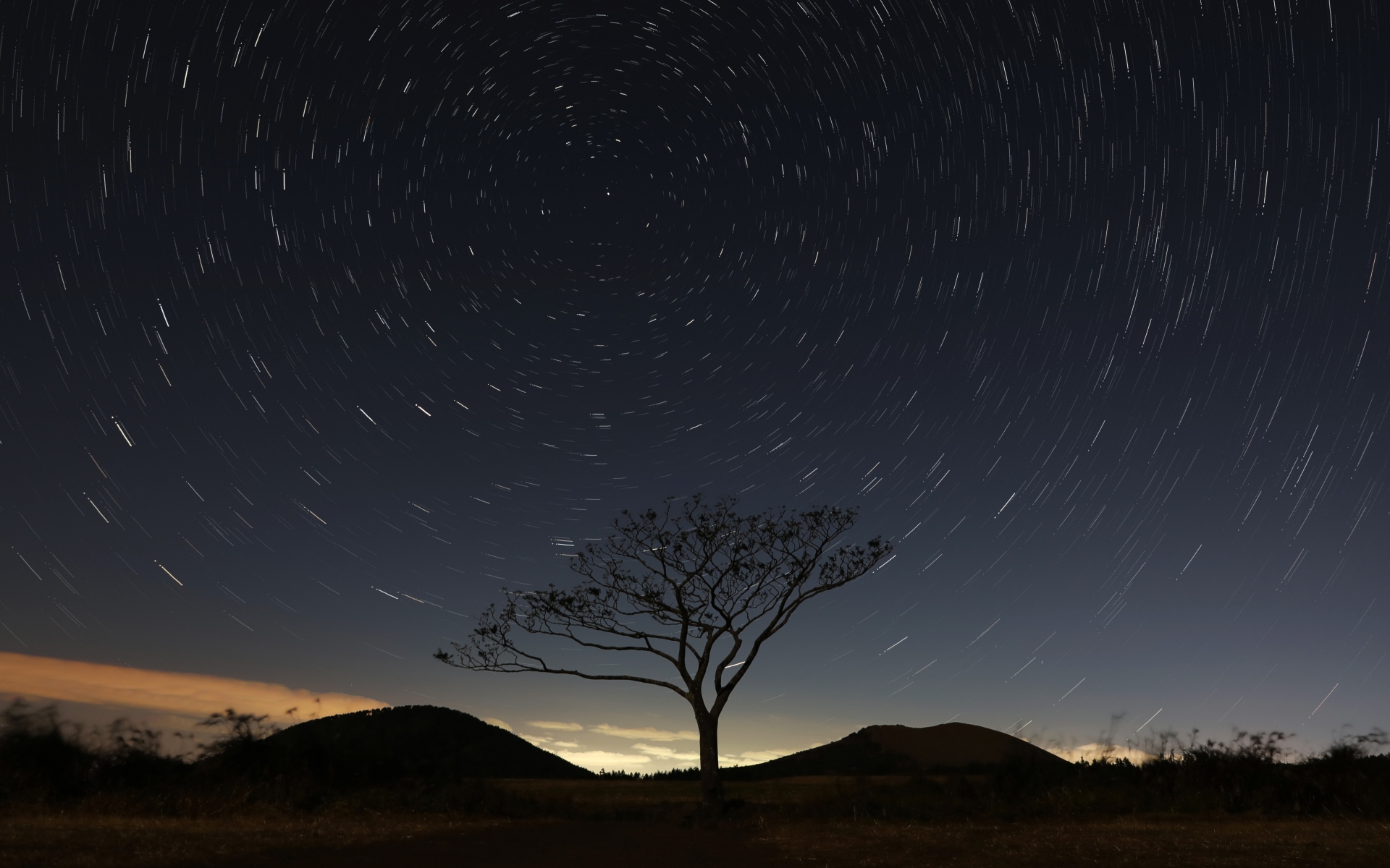 小红书业务下单：小红书业务24小时免费下单平台是真的吗？